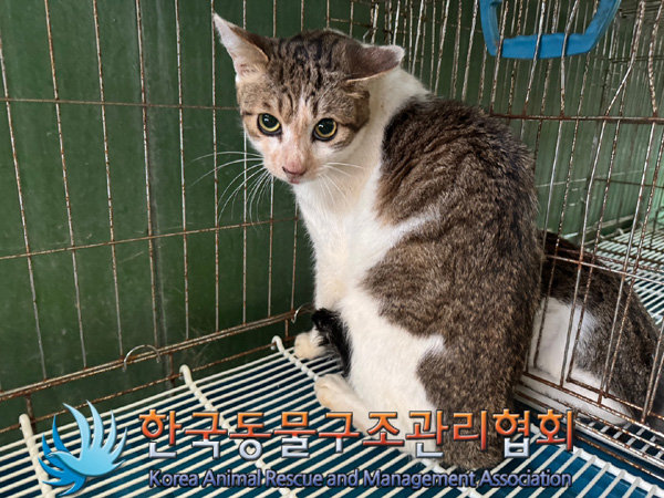 한국동물구조관리협회_411315202400609